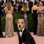 Met Gala 2025: Най-добре и най-зле облечените – и скроено за кого?